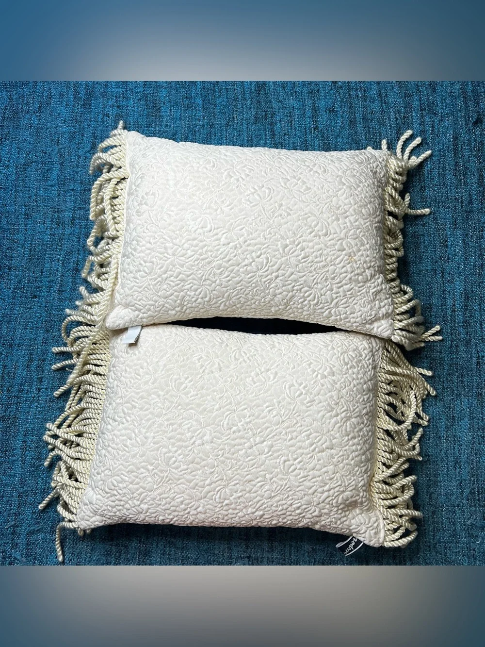 Vintage Newport Elegant Fringe Throw Pillows Set of 2 Ivory Floral Lumbar 15x11